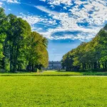 Sprzątanie terenów zielonych przez zewnętrzną  firmę