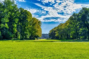 Sprzątanie terenów zielonych przez zewnętrzną  firmę