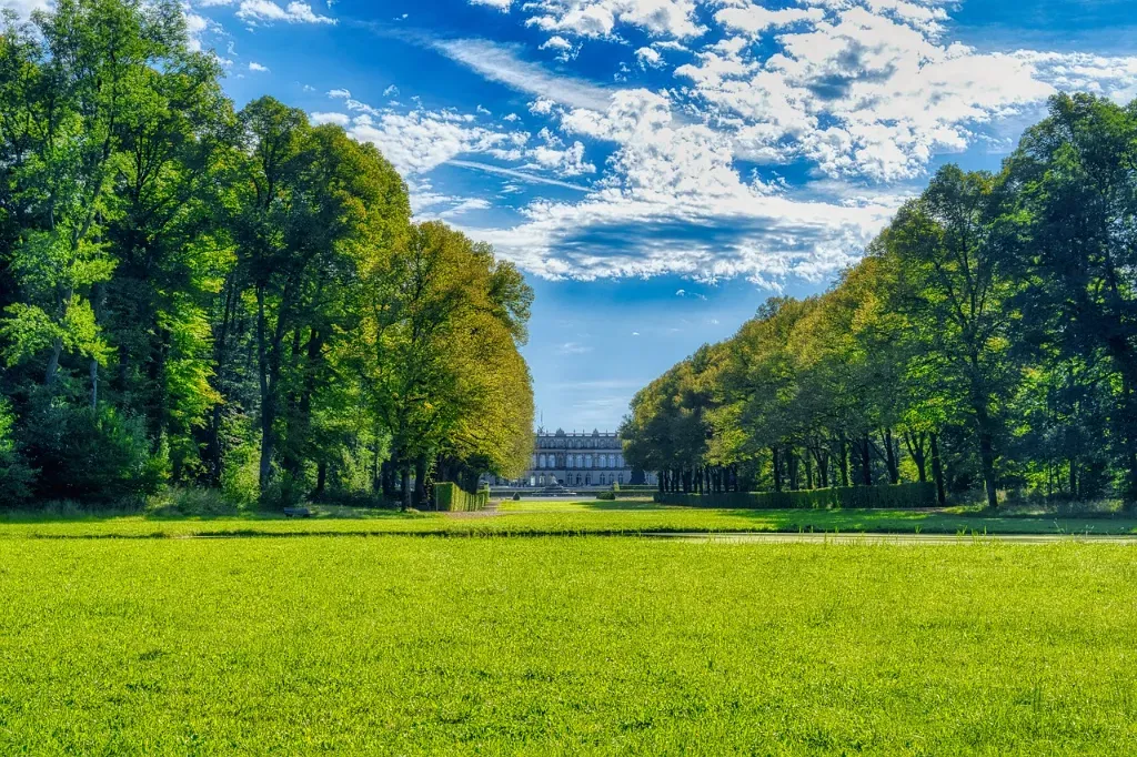 Sprzątanie terenów zielonych przez zewnętrzną  firmę